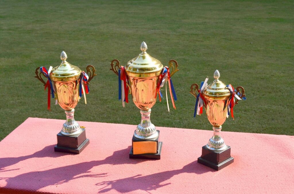 trophy, trophies, win, winner, winning, first, place, award, achievement, reward, sports, athletic, medals, trophy, trophy, trophy, trophy, trophy, reward, reward